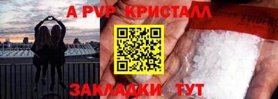кокс Кингисепп