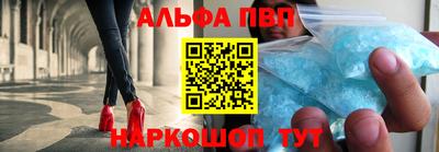 кокс Кингисепп