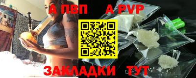 кокс Кингисепп