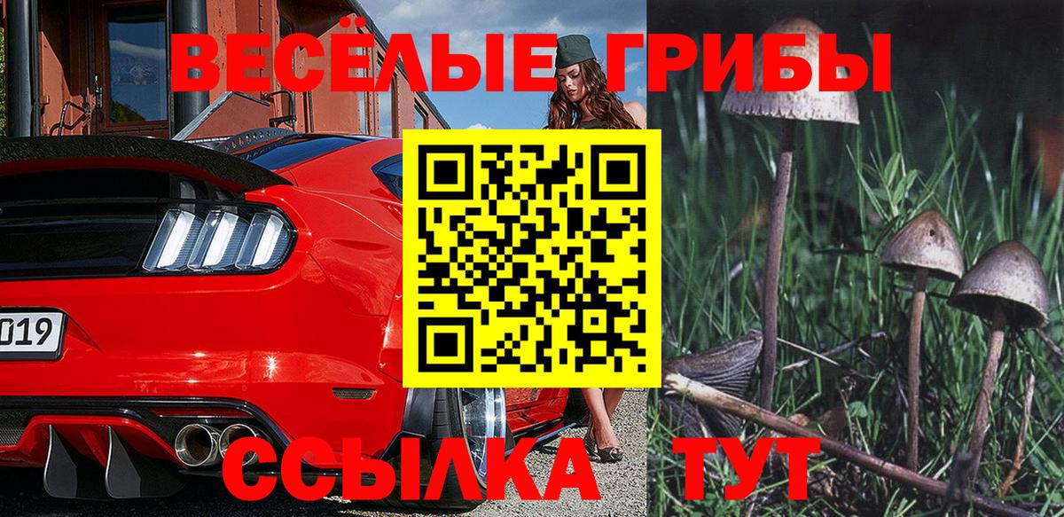 Псилоцибиновые грибы Cubensis  Вход с VPN  Куйбышев 