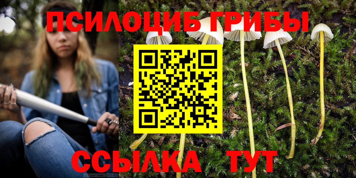 Галлюциногенные грибы Cubensis Куйбышев